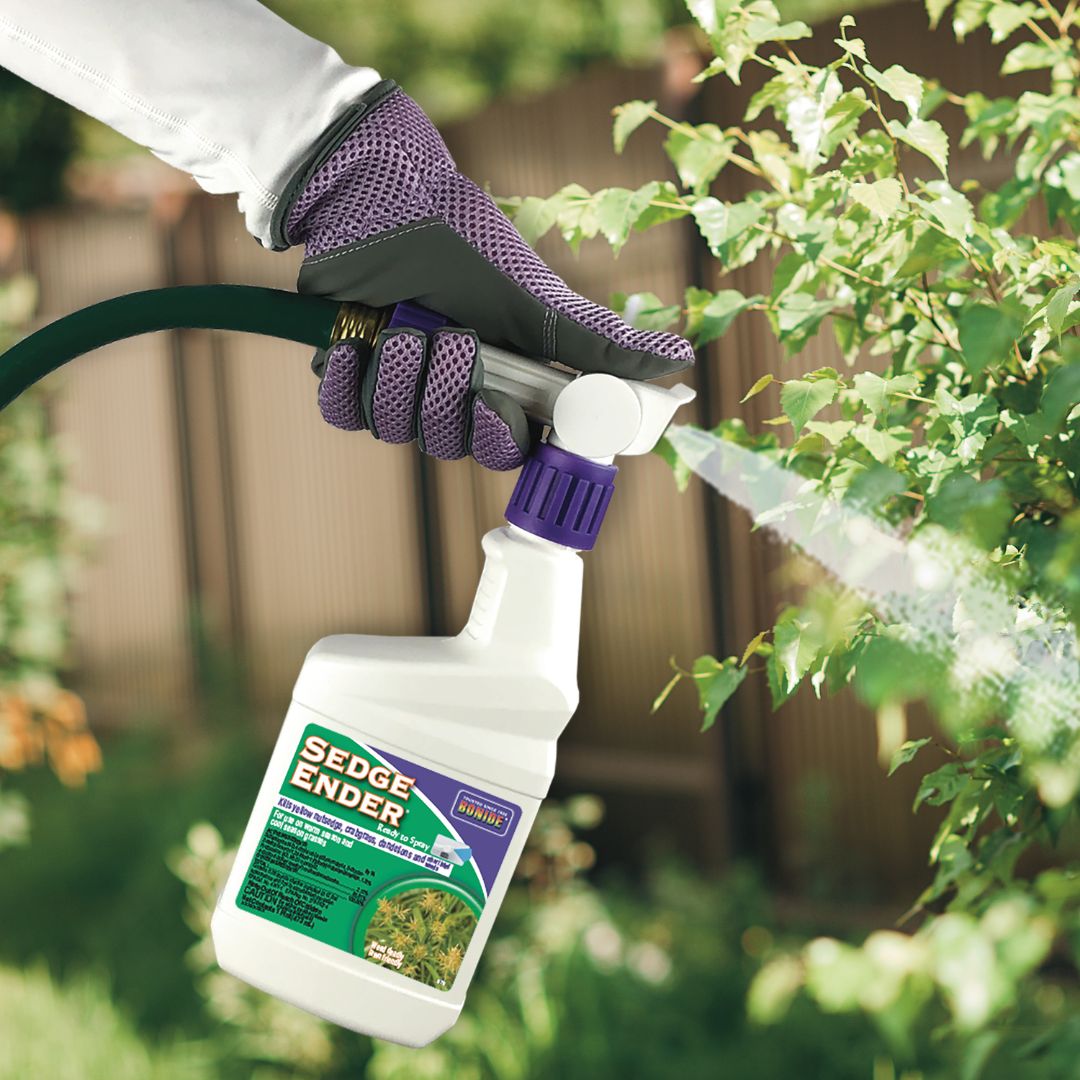Sedge Ender Spray – Bonide – 16 oz